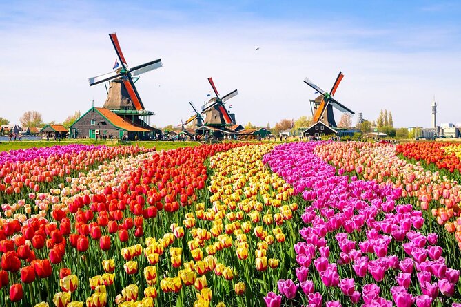 Private Zaanse Schans & Volendam Tour: Windmills, Cheese & Clogs - Volendam: harbor views and local food