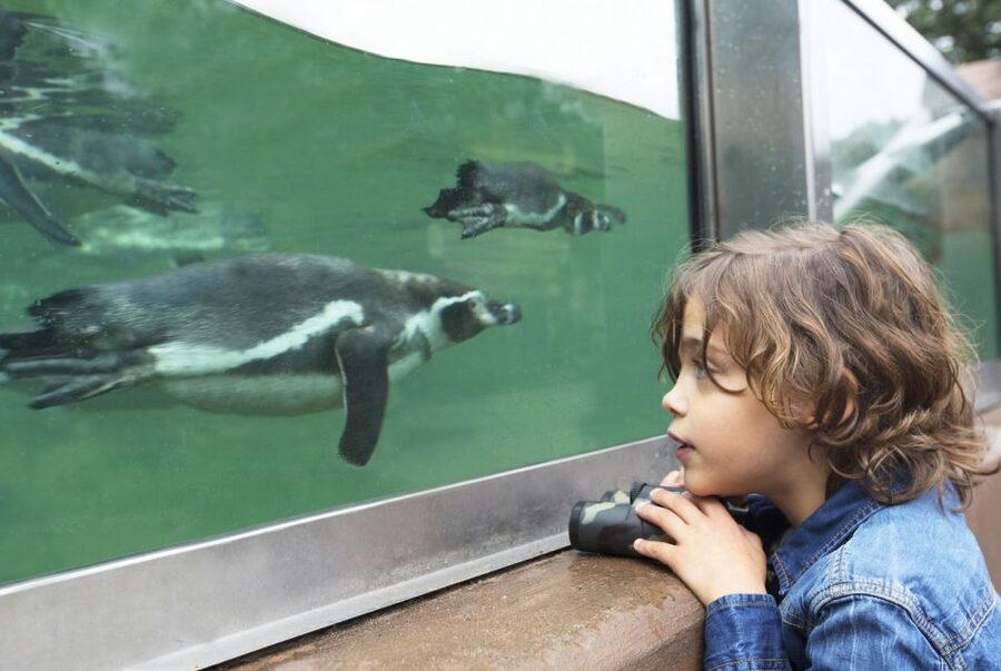 Rhenen: Ouwehands Zoo Entry Ticket - Who will enjoy Ouwehands Zoo most