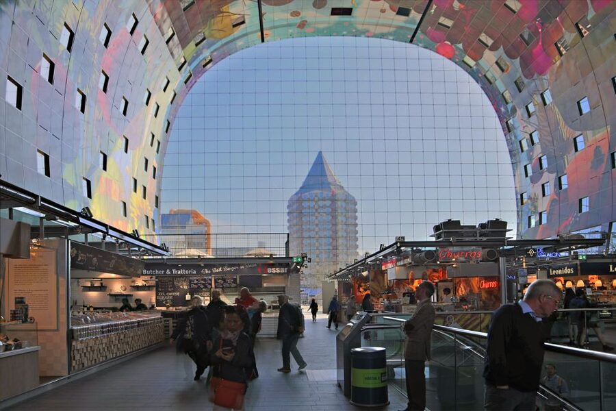 Rotterdam: 2-Hour Guided Walking Tour - The Erasmus Bridge and the city’s wider view