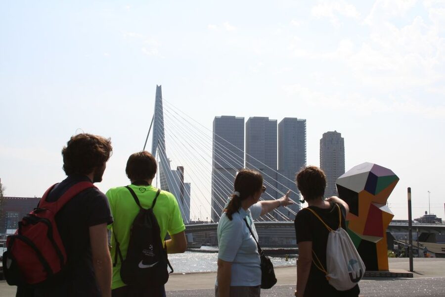 Rotterdam: Architectural Highlights Guided Walking Tour - City Hall, Timmerhuis, and contrasting styles