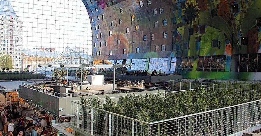 Rotterdam: City Center Walking Tour - Starting at Central Station and Groothandelsgebouw