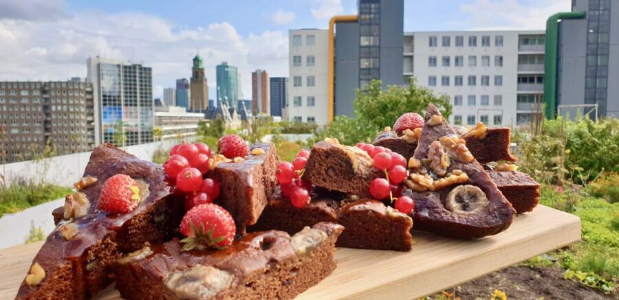 Rotterdam: Food Tour by Bike - Key points to know before booking