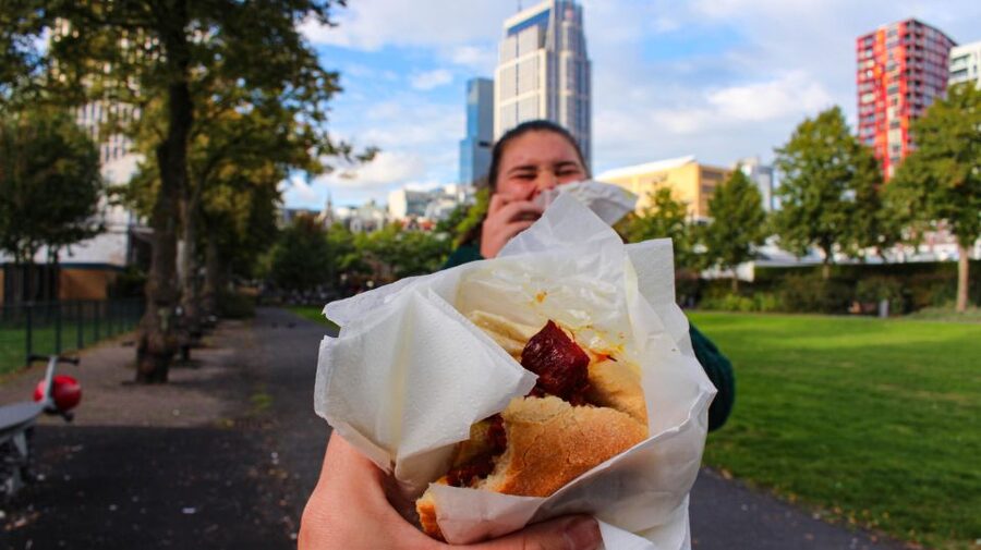 Rotterdam: Guided Food Tour - Dietary needs, language, and group atmosphere