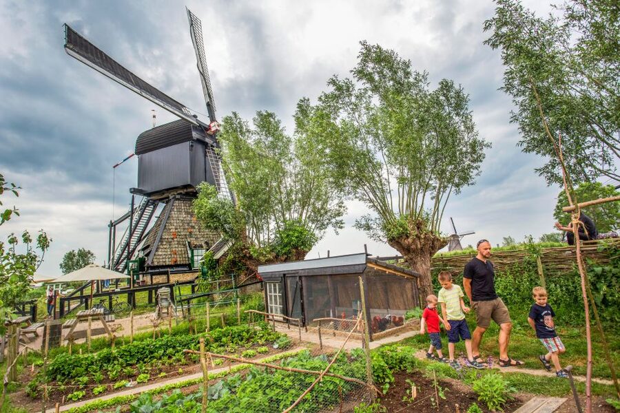 Rotterdam: Kinderdijk UNESCO World Heritage Entry Ticket - Start with the film and online audio guide