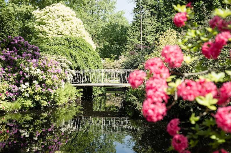 Rotterdam: Trompenburg Botanical Gardens Entry Ticket - Key points to know