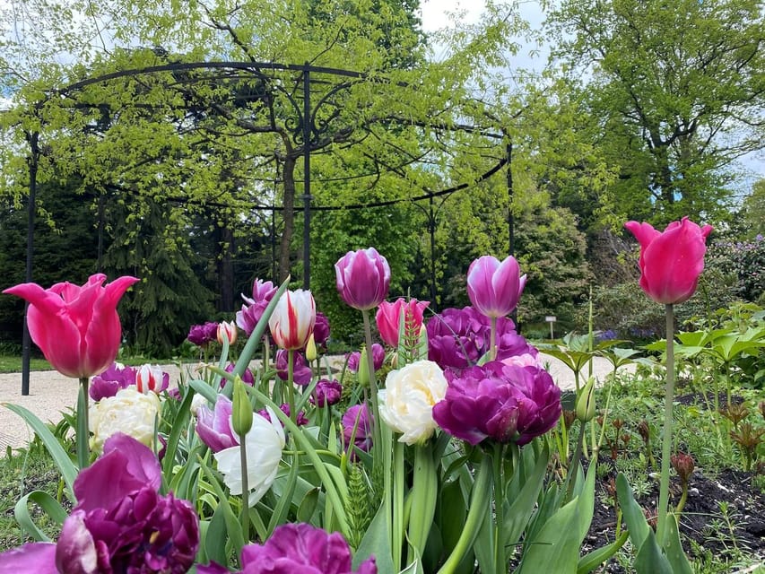 Rotterdam: Trompenburg Botanical Gardens Entry Ticket - Who should book Trompenburg Gardens?