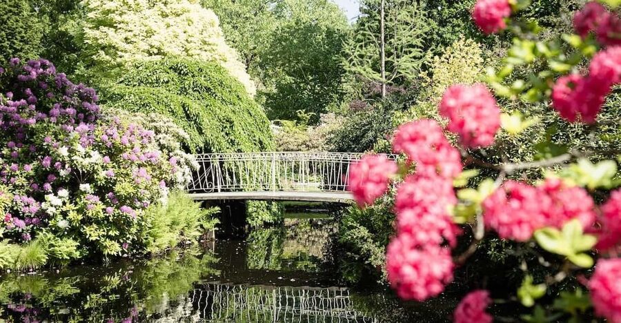 Rotterdam: Trompenburg Botanical Gardens Entry Ticket - Following the seasonal planting