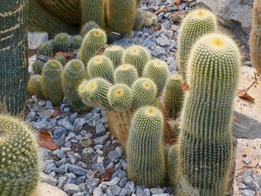 Rotterdam: Trompenburg Botanical Gardens Entry Ticket - Sunday afternoon programs
