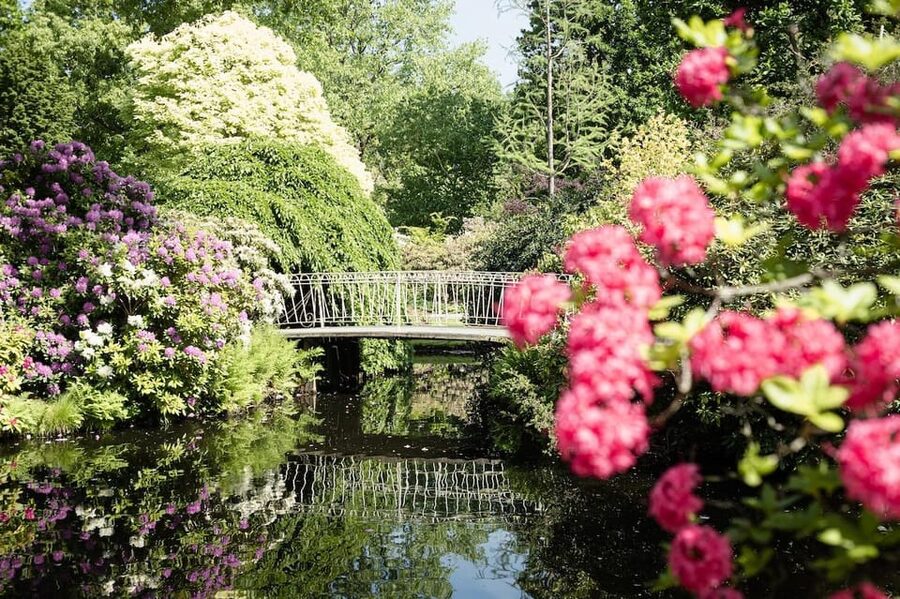 Rotterdam: Trompenburg Botanical Gardens Entry Ticket - Why the tree collection deserves your time