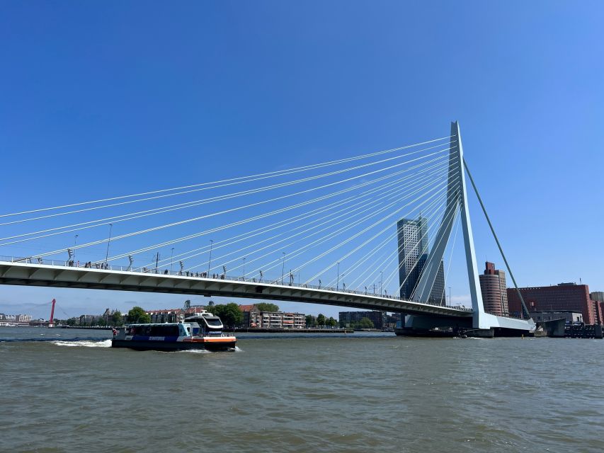 Rotterdam: Waterbus Ticket to Dordrecht and/or Kinderdijk - Who should book this Waterbus pass?