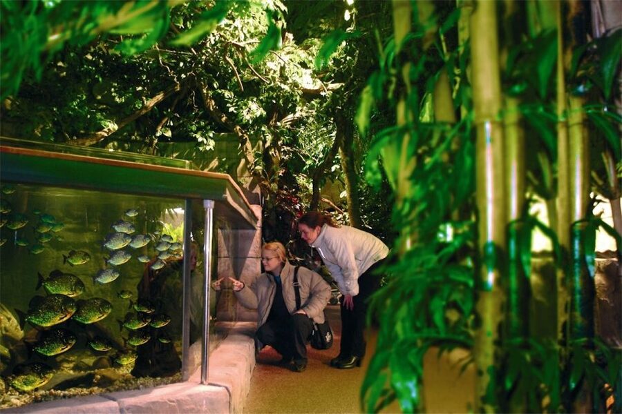 Scheveningen, The Hague: Sea Life Entry Ticket - From Dutch rivers to tropical seas