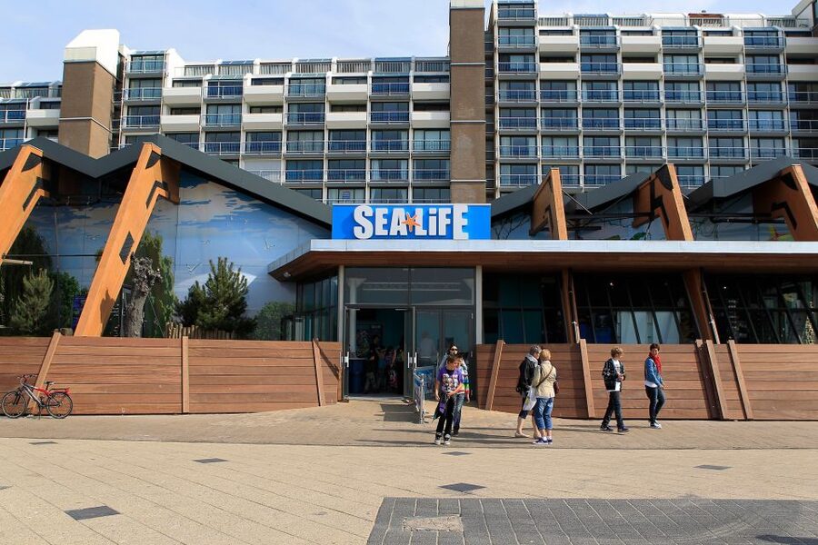Scheveningen, The Hague: Sea Life Entry Ticket - Plan around a feeding session