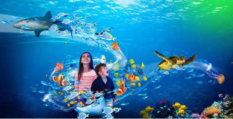 Scheveningen, The Hague: Sea Life Entry Ticket - Who will enjoy Sea Life Scheveningen most?