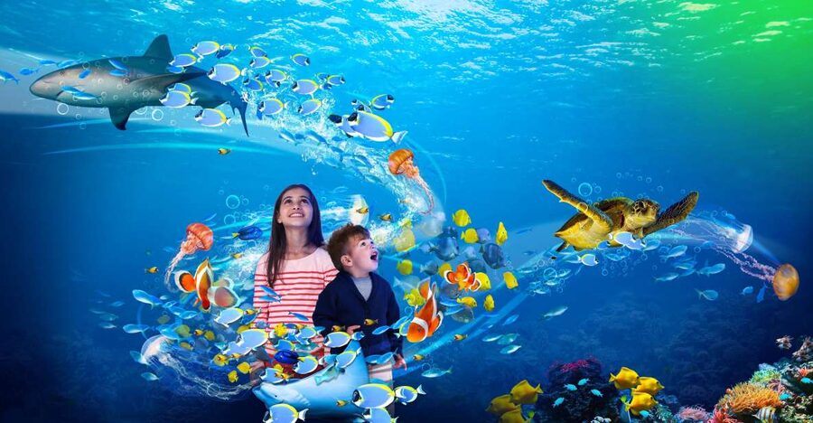 Scheveningen, The Hague: Sea Life Entry Ticket - Practical tips for a smoother visit