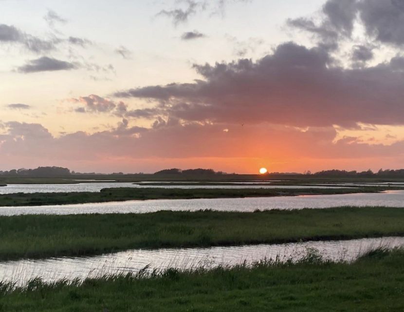 Small group full day island tour to Texel from Amsterdam - The Wadden Sea, tidal flats, and birdwatching
