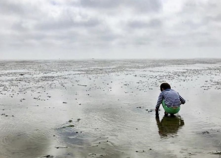 Small group full day island tour to Texel from Amsterdam - Six hours across Texel’s villages and beaches