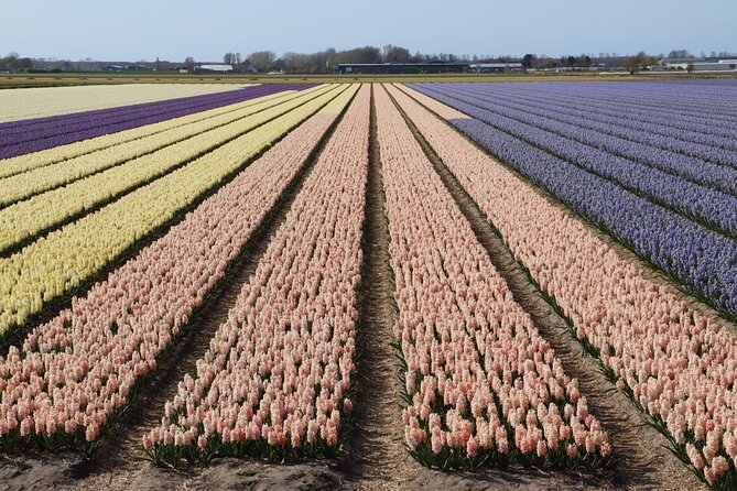Small Group Keukenhof and Delft Guided Tour from Amsterdam - Why combine Keukenhof with Delft?