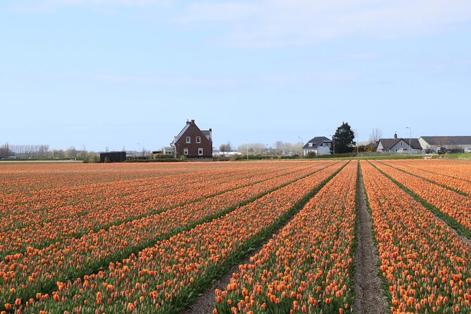 Small Group Keukenhof and Delft Guided Tour from Amsterdam - Guides, vehicles, and group size