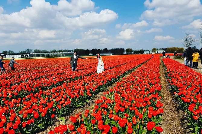 Small Group Keukenhof and Delft Guided Tour from Amsterdam - The schedule and meeting points
