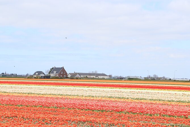 Small Group Keukenhof and Delft Guided Tour from Amsterdam - How the day feels in practice
