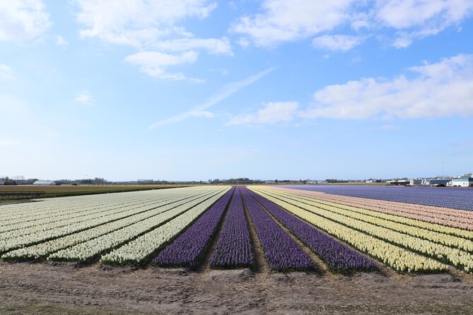 Small Group Keukenhof and Delft Guided Tour from Amsterdam - Who should book it?