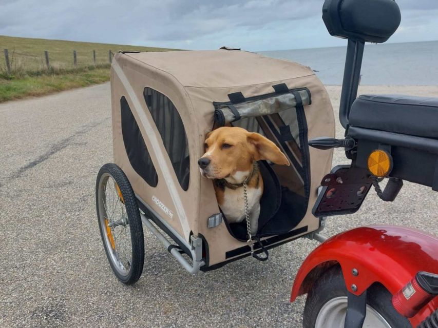 Texel: E-Scooter Rental - Getting started with the Texel Cruiser