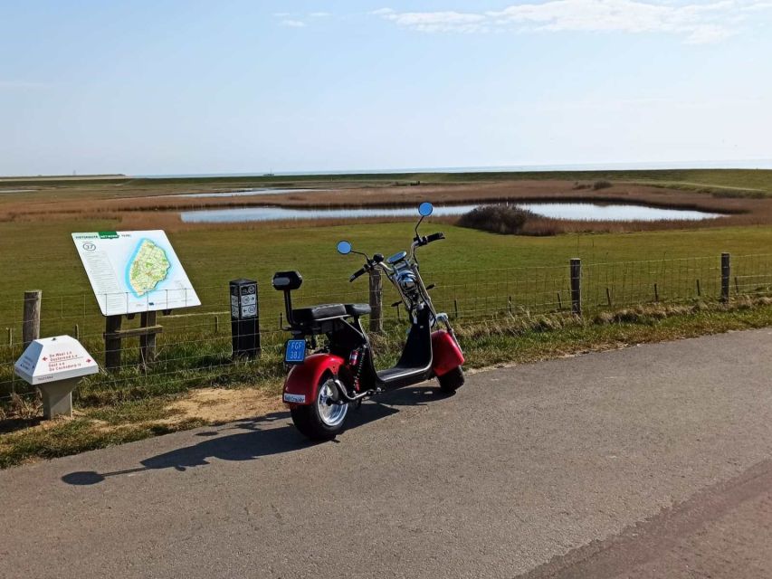 Texel: E-Scooter Rental - Beaches, sheep, and nature reserves