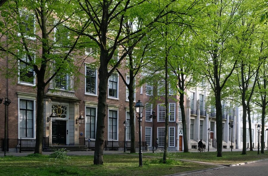 The Hague: City Walking Tour - What the guide adds to the experience