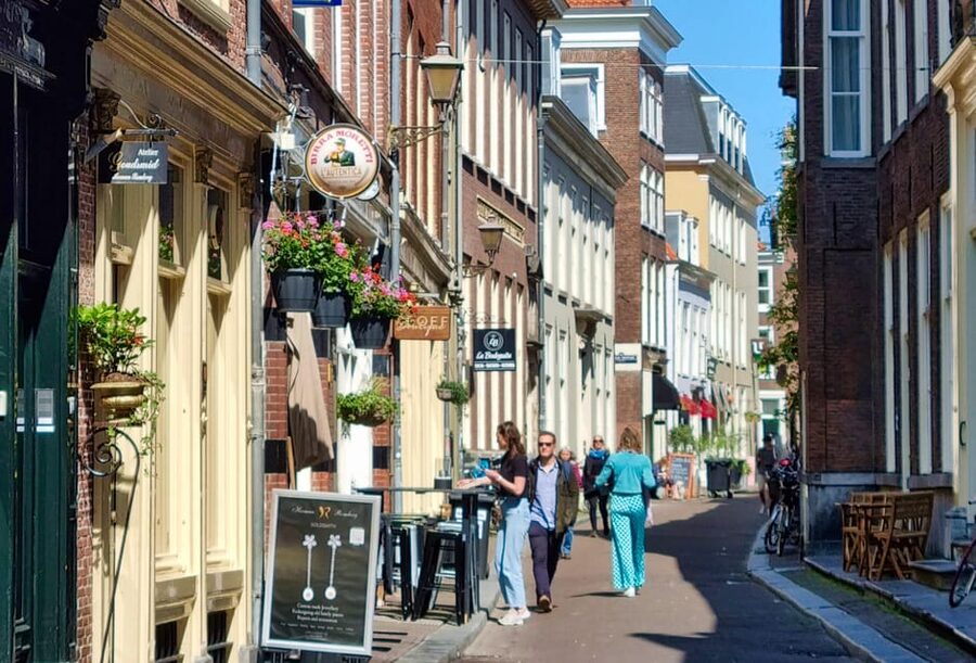 The Hague: City Walking Tour - Timing, languages, and flexible booking