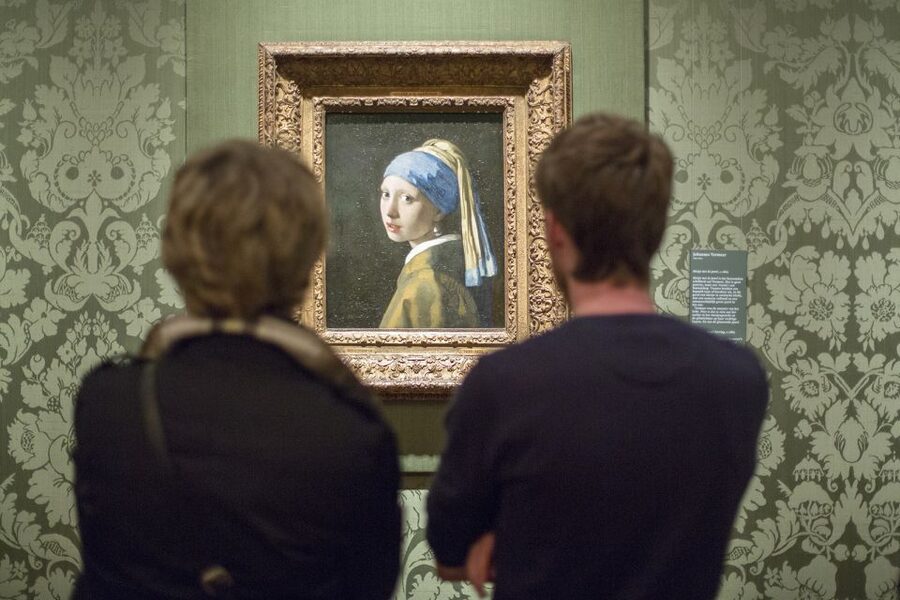 The Hague: Mauritshuis Entrance Ticket - The BIRDS exhibition from February to June 2026