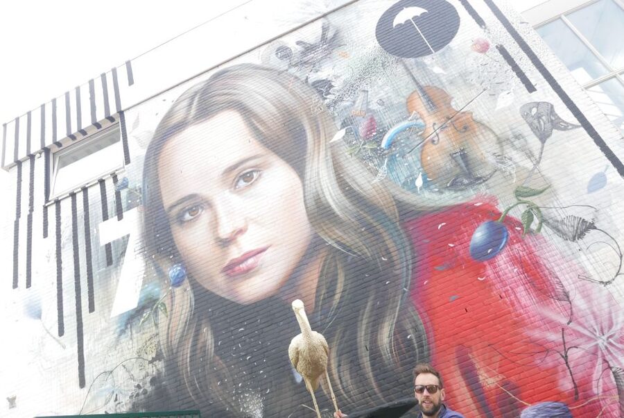 The Hague: Street Art Tour by Bike - Who will get the most from this ride