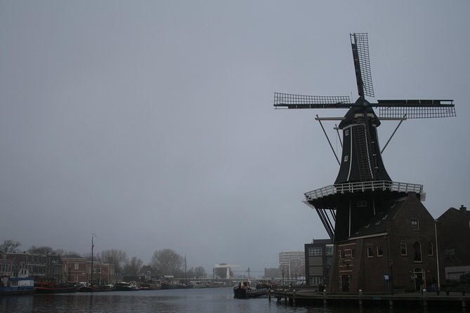 The rise of Haarlem: Culture, History, Art and Architecture Walking Tour - Teylers Museum, art, and Haarlem’s creative life