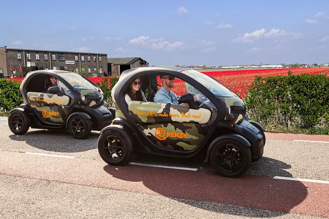Tulip Fields near Keukenhof - Self-Drive Audio Tour for 2 People - Price and value for two people