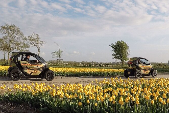 Tulip Fields near Keukenhof - Self-Drive Audio Tour for 2 People - Following the 20-kilometer flower route