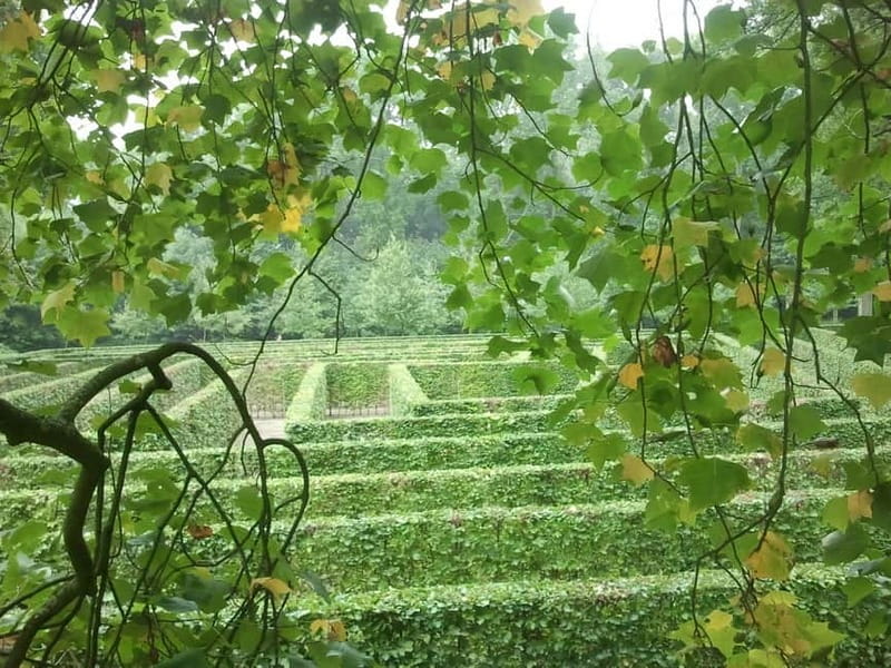 Utrecht: De Haar Castle, Park Entry Ticket - The maze, deer park, and forest walk