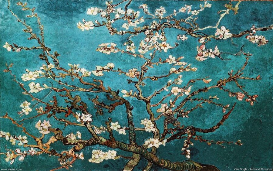 Van Gogh & Rijksmuseum Masterpieces Guided Tour 8 guests 5h - Who will enjoy this five-and-a-half-hour tour?