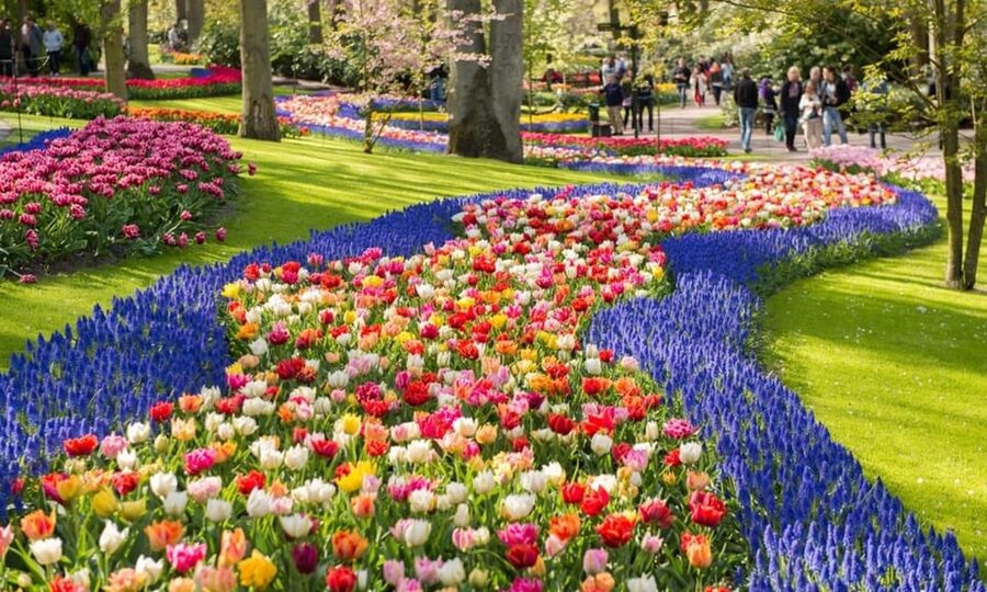 Warmond: Windmill Cruise and Keukenhof Entry Ticket - Keukenhof after the water
