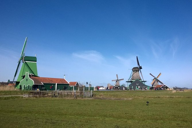 Zaanse Schans Windmills, Clogs and Dutch Cheese Small-Group Tour from Amsterdam - Cheese tasting at Catharina Hoeve